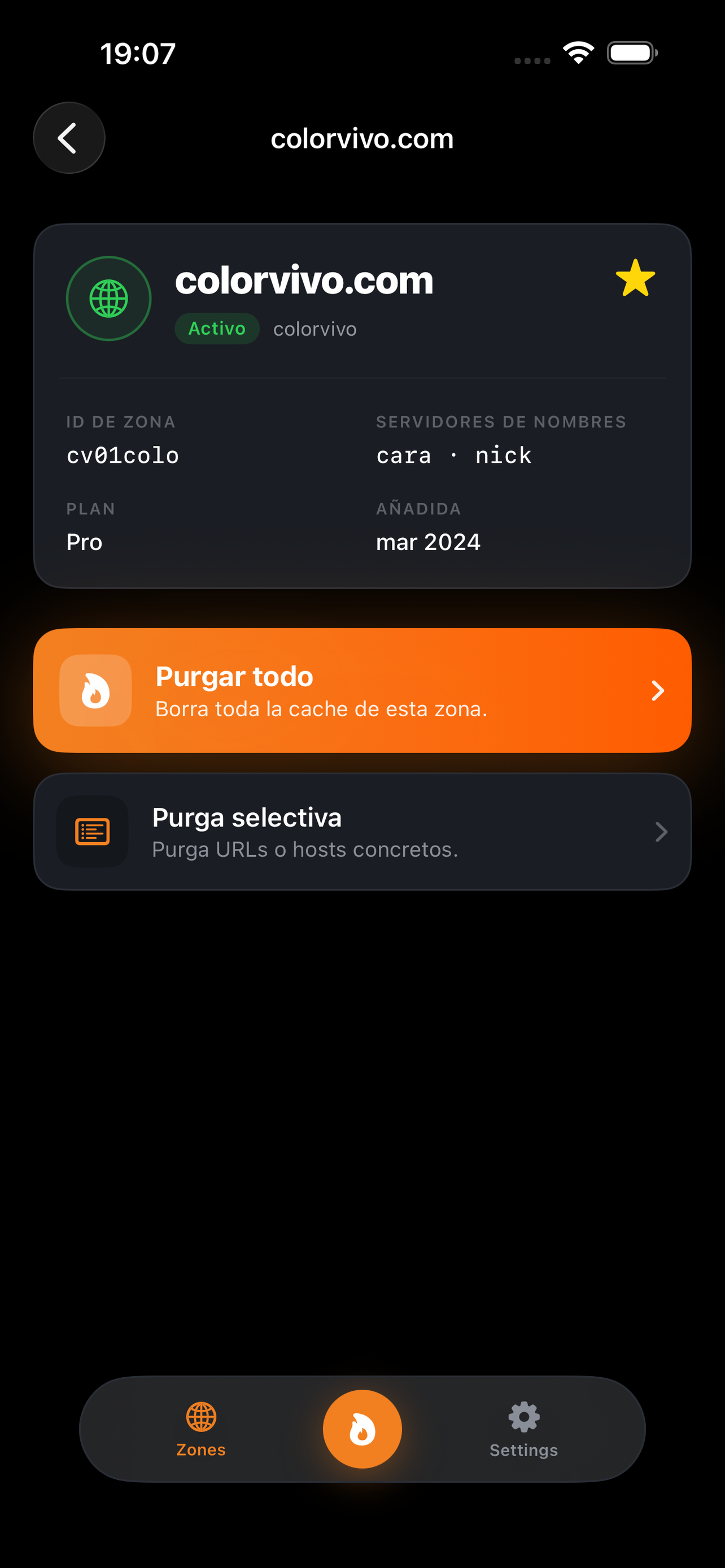 Detalle de zona con plan, name servers, cuenta y fecha.